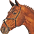 Nánosníky