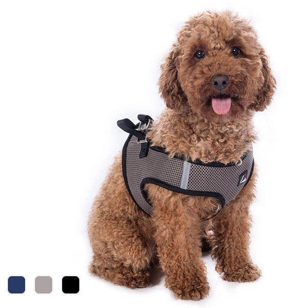 Postroj pre psov -Buddy Soft-