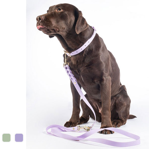 Vodítko pre psov -Amitye-