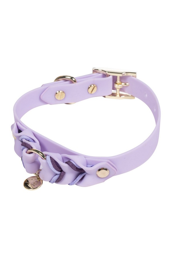 Obojok pre psov -Amitye-