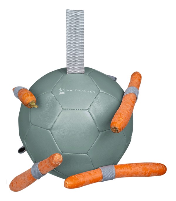 Lopta do boxu Carrot Ball