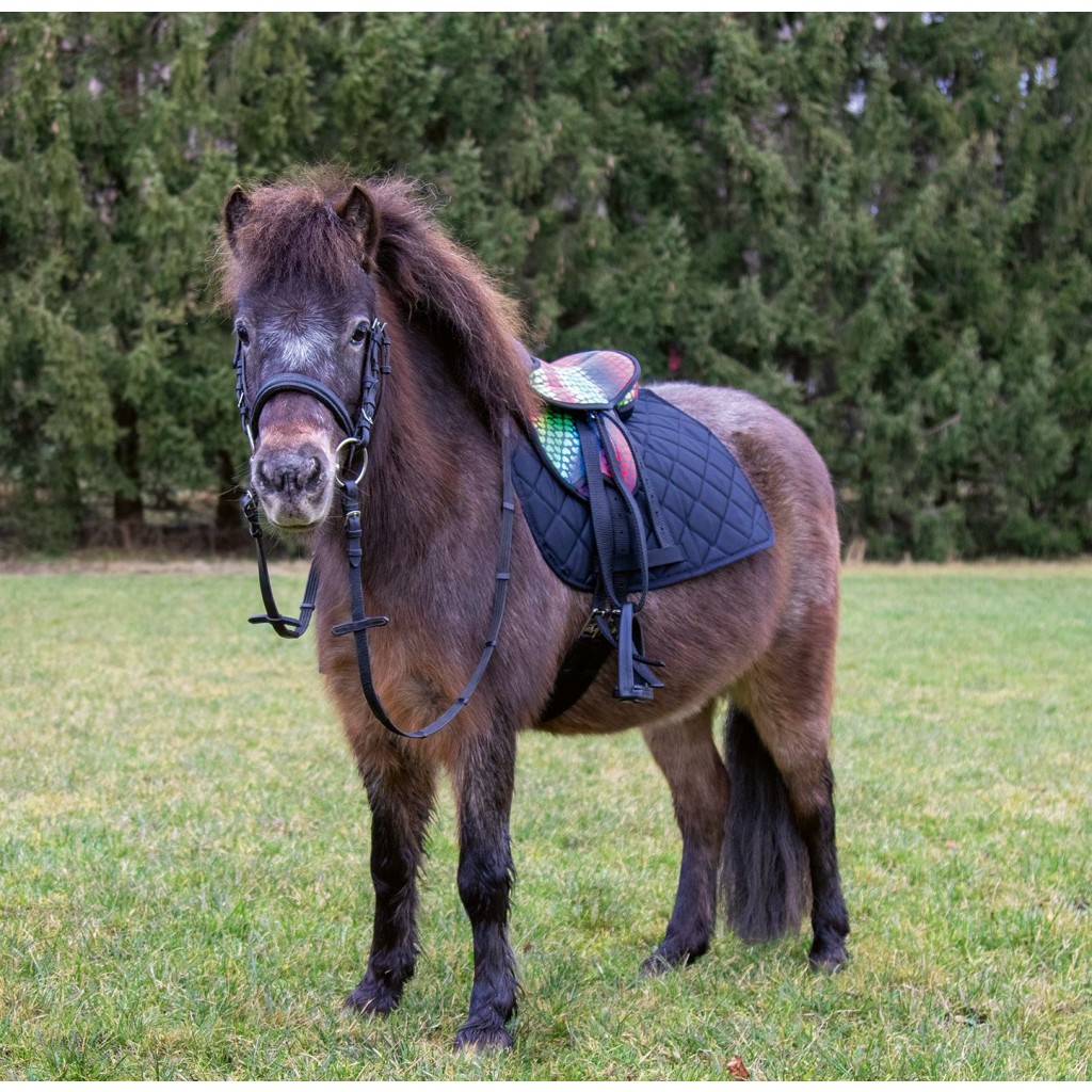 Sedielko pre Shetty pony + príslušenstvo