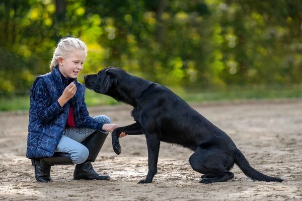 Detská jazdecká vesta Bria