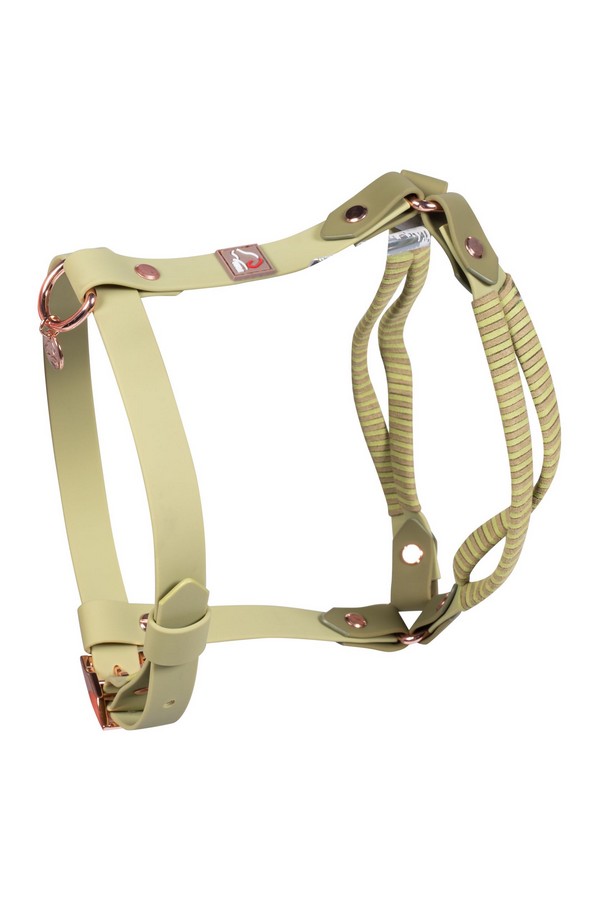 Postroj pre psov -Amitye-