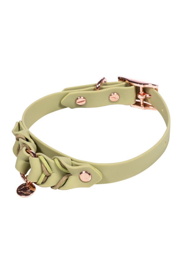 Obojok pre psov -Amitye-