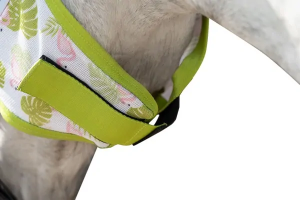 Maska proti hmyzu -Flamingo-