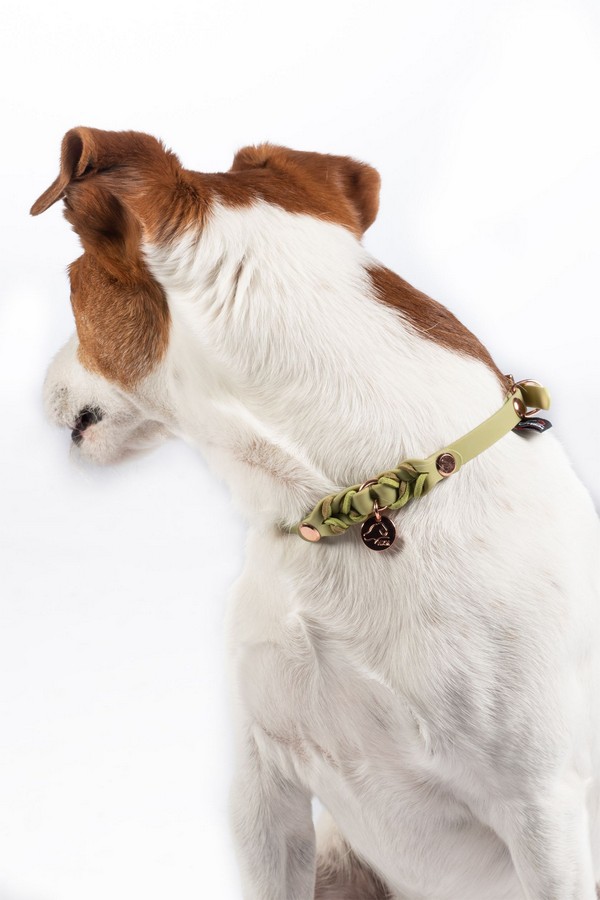 Obojok pre psov -Amitye-