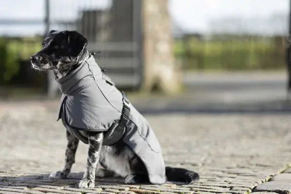 Deka pre psov -Buddy- s fleecovou podšívkou