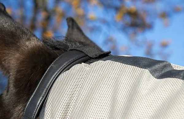 Sieťová deka proti hmyzu s odnímateľným krkom -Fringes-