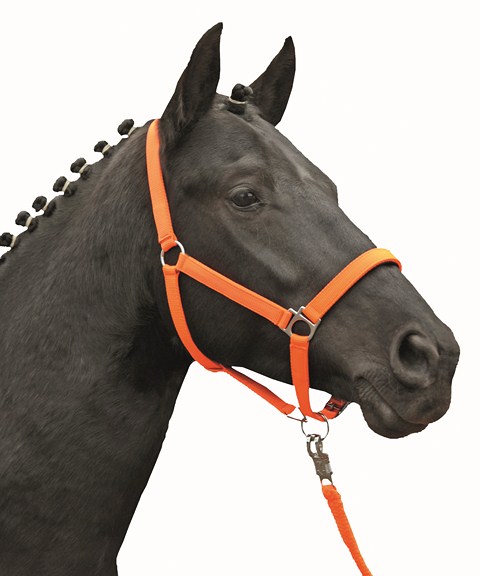 Ohlávka STARS SOFTICE