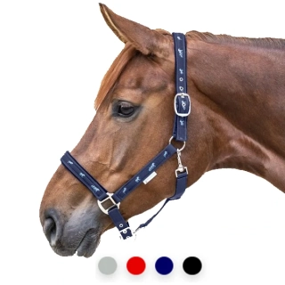 Ohlávka Little Horse