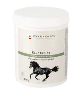 Elektrolyt - regenerácia a výkon, 1kg