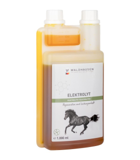 Elektrolyt sirup 1L