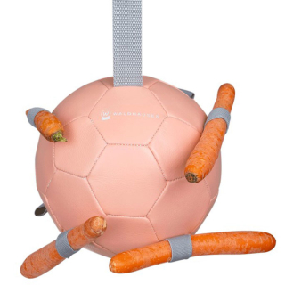 Lopta do boxu Carrot Ball