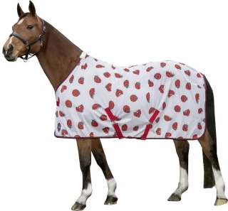 Sieťová deka proti hmyzu -Ladybug-, od 85 cm